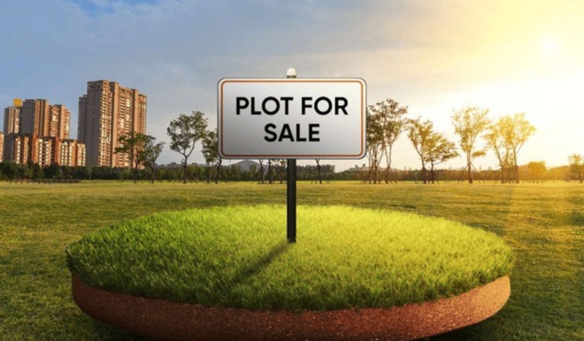 plot